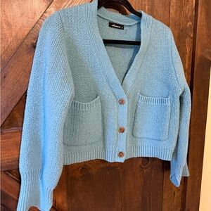 Olivaceous Sky Blue Cardigan Sweater
